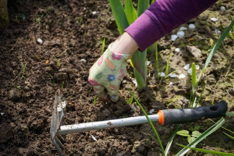 S'équiper pour le jardin de sa maison à Mandelieu-la-Napoule